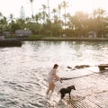 Exploring Healthcare Services for Seniors in Kailua-Kona, HI
