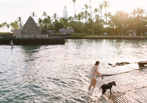 Exploring Healthcare Services for Seniors in Kailua-Kona, HI